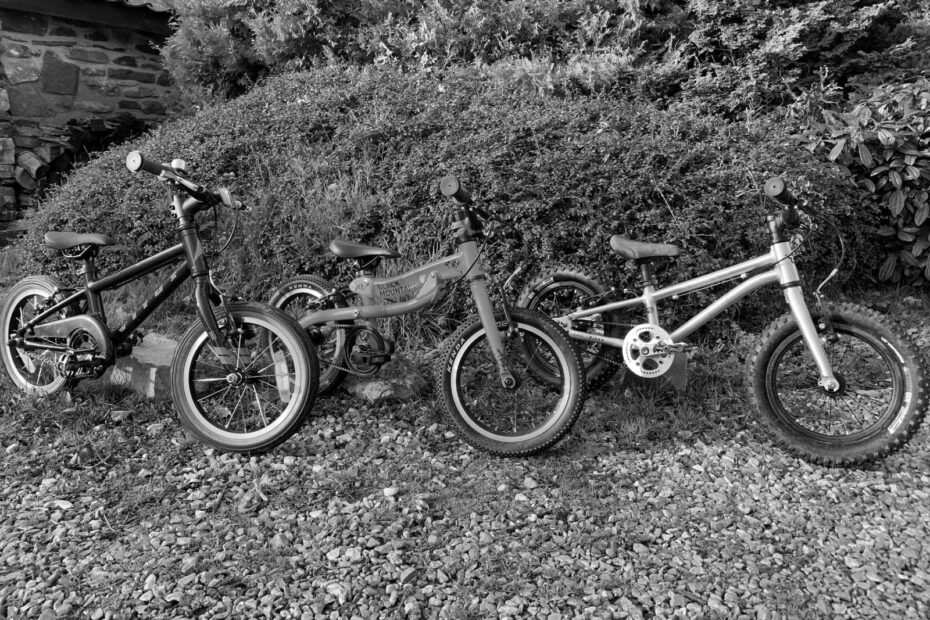 Best 14 inch Bikes