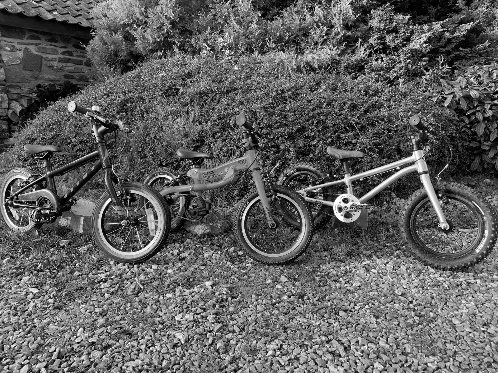Best 14 inch Bikes