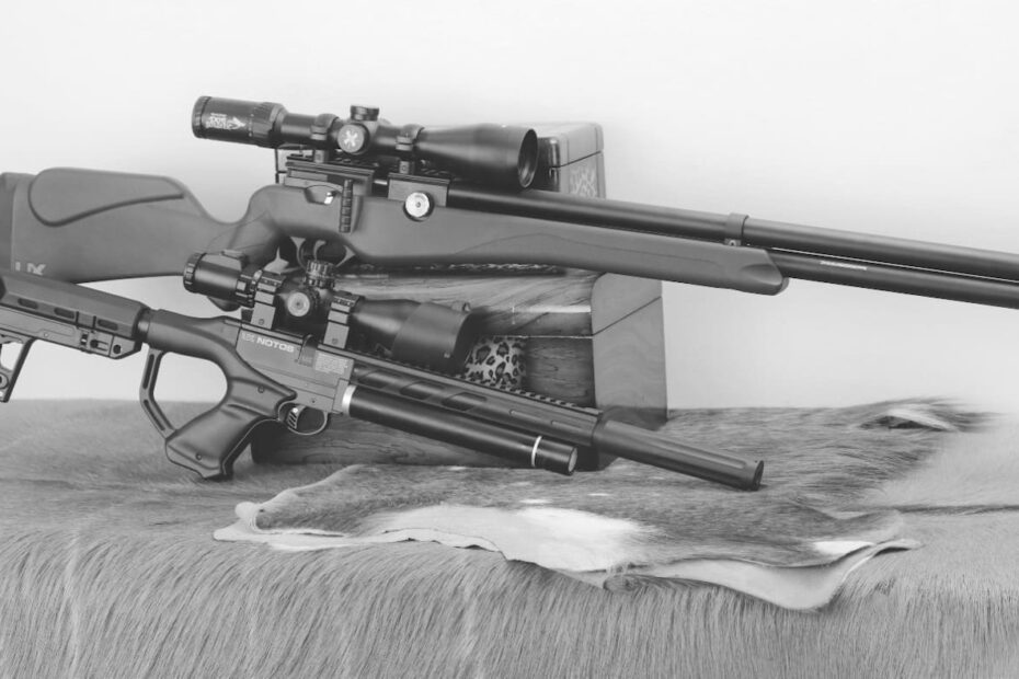Best Air Rifles