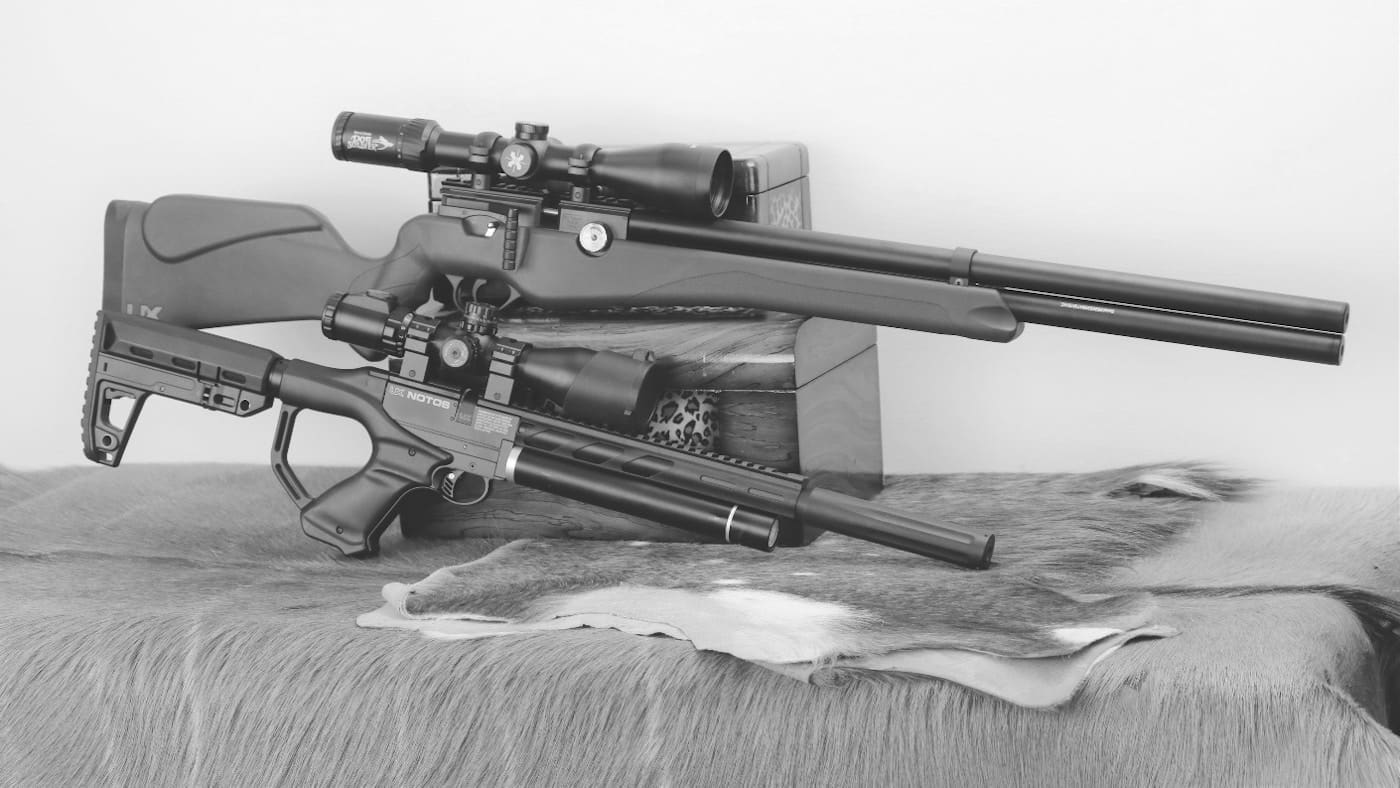 Best Air Rifles