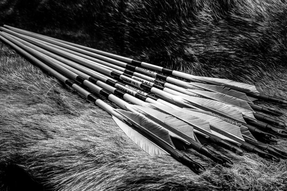 Best Archery Arrows & Shafts