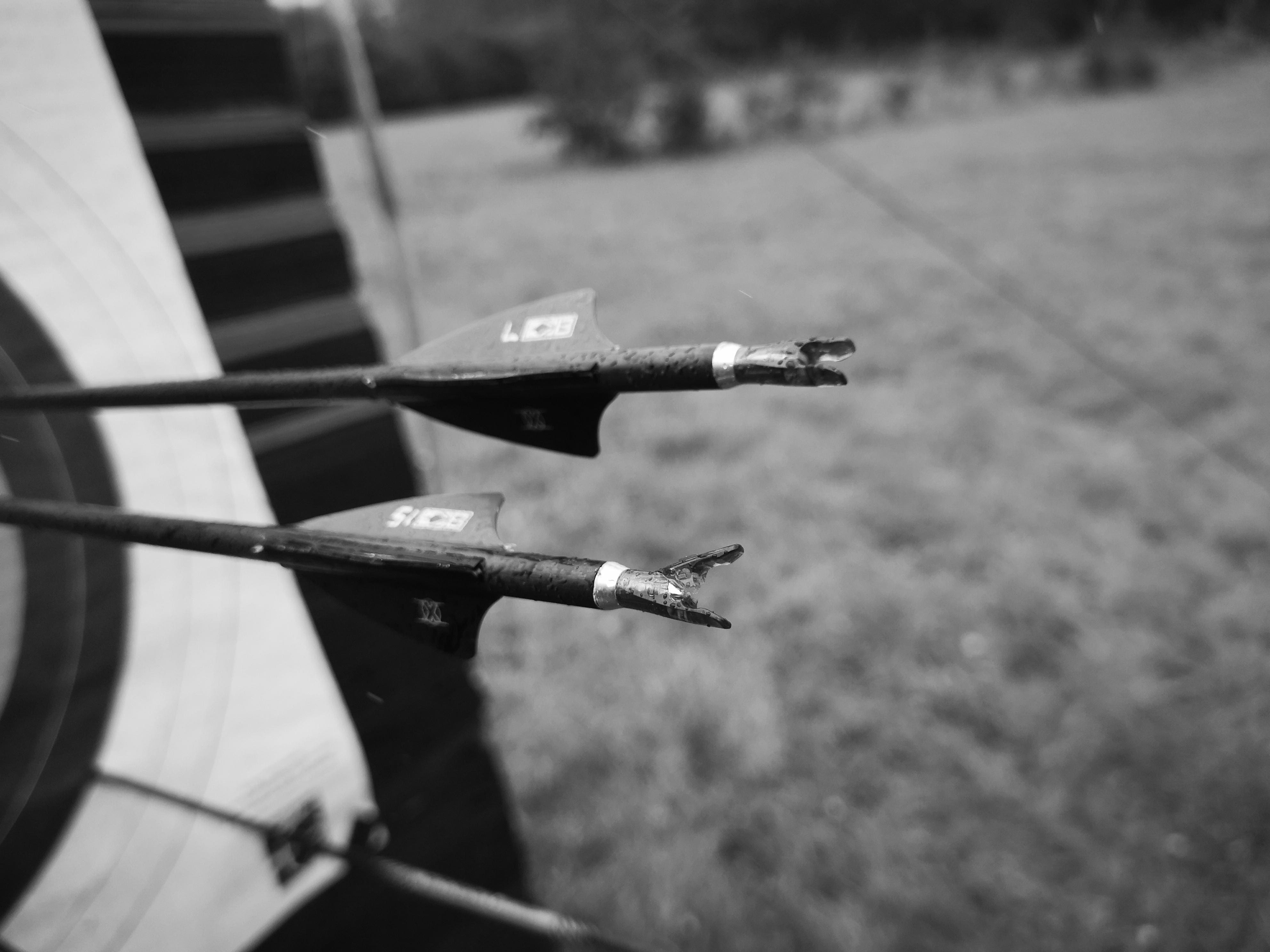 Best Archery Nocks