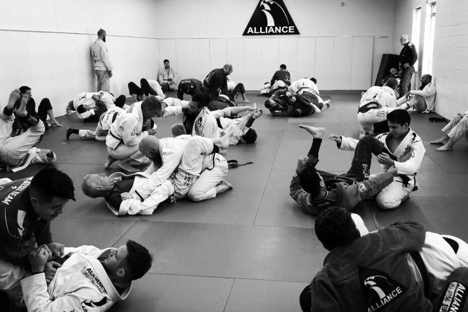 Best BJJ Gyms in Edina Minnesota