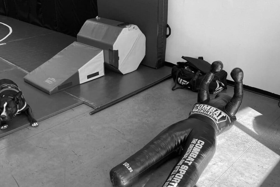 Best BJJ Gyms in Henderson Nevada