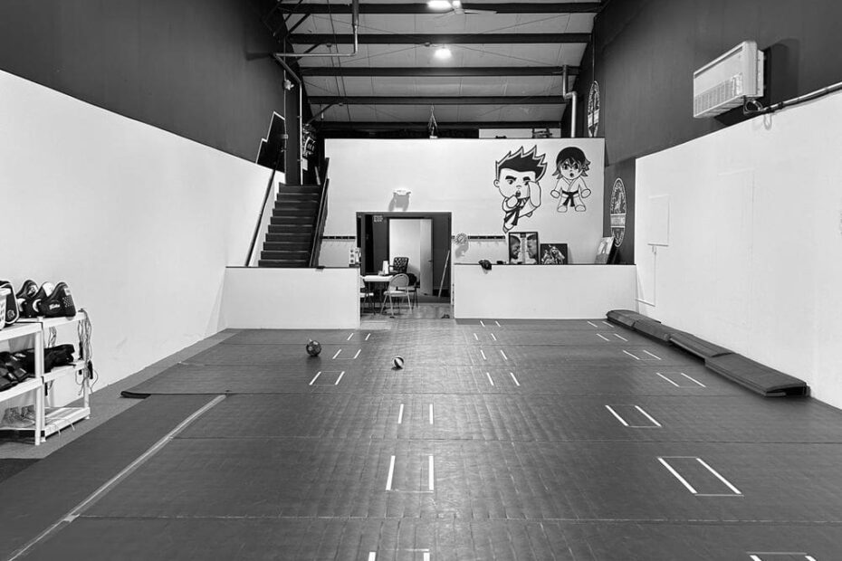 Best BJJ Gyms in New Jersey