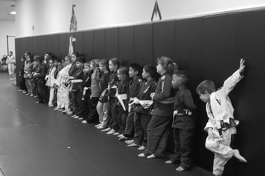 Best BJJ Gyms in Wayne, New Jersey
