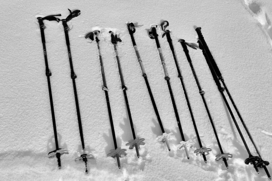 Best Backcountry Ski Poles