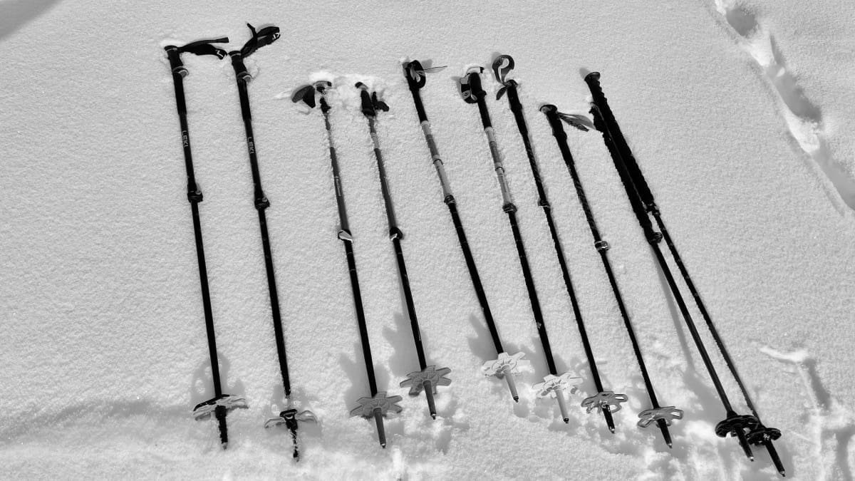 Best Backcountry Ski Poles