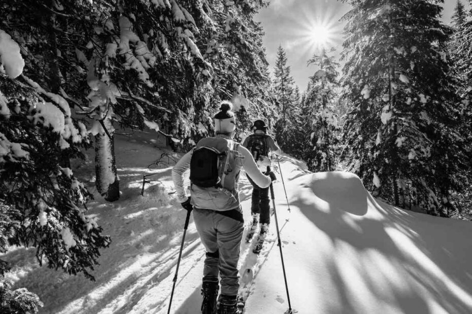 Best Backcountry Skiing