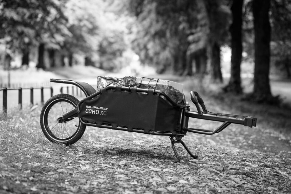 Best Bike Trailers for Cargo