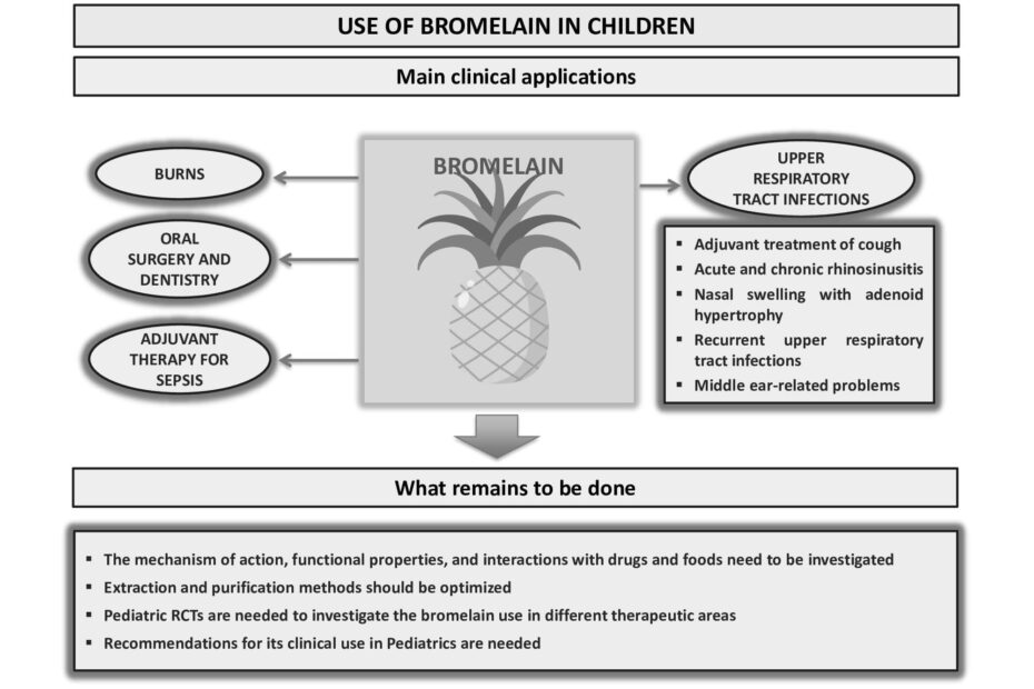Best Bromelain Nutritional Supplements