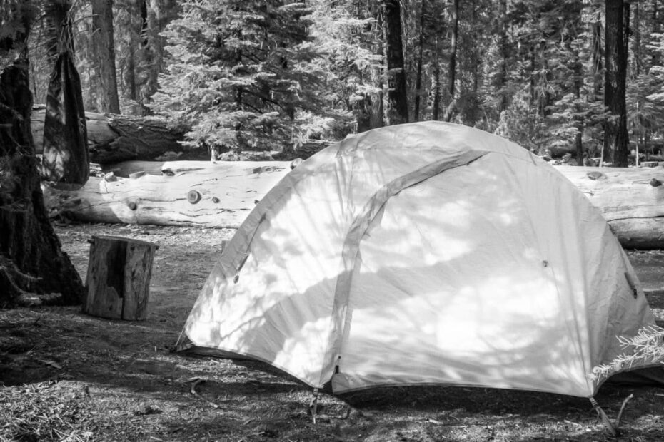 Best Camping Bear Protection Products