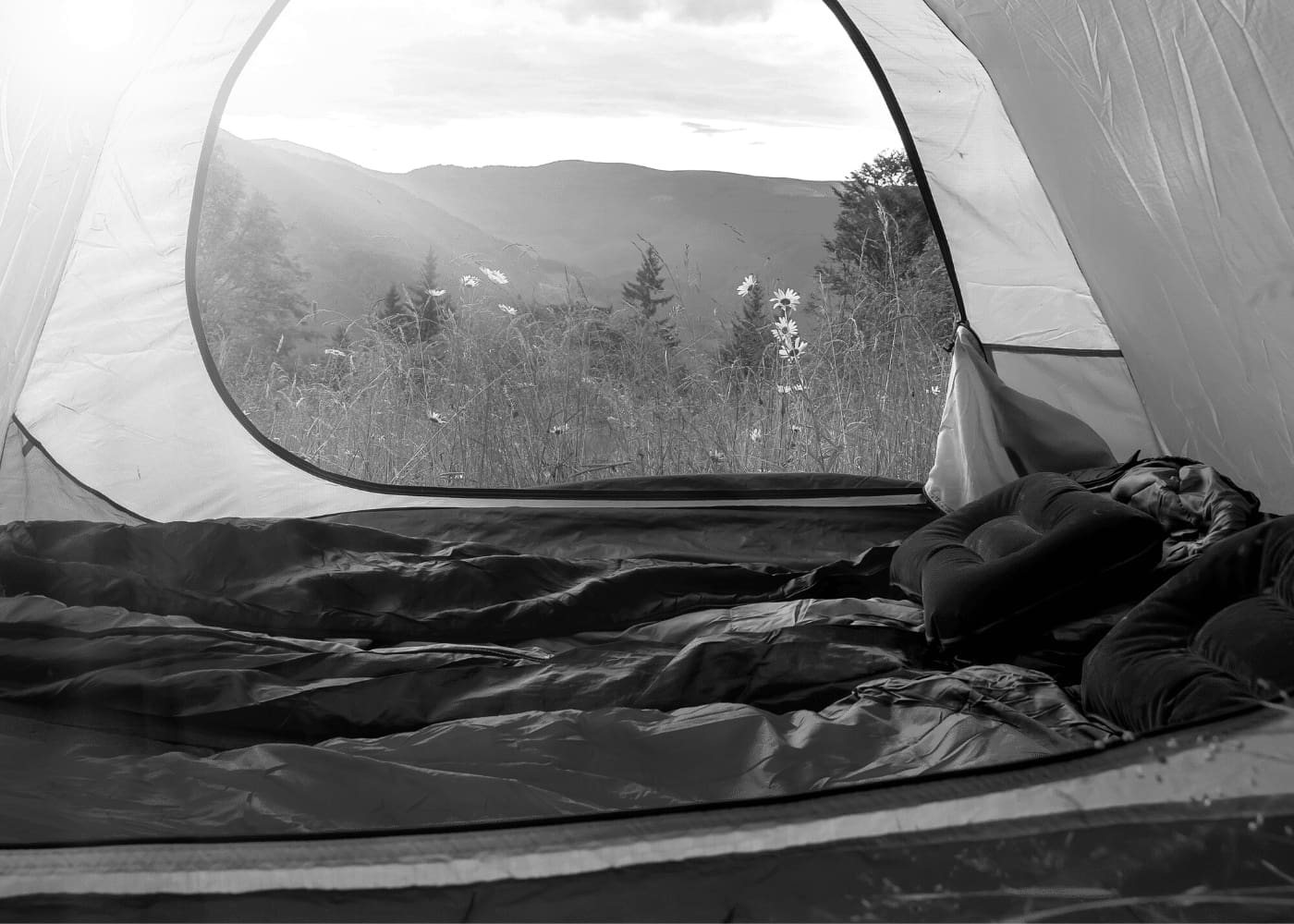 Best Camping Pillows