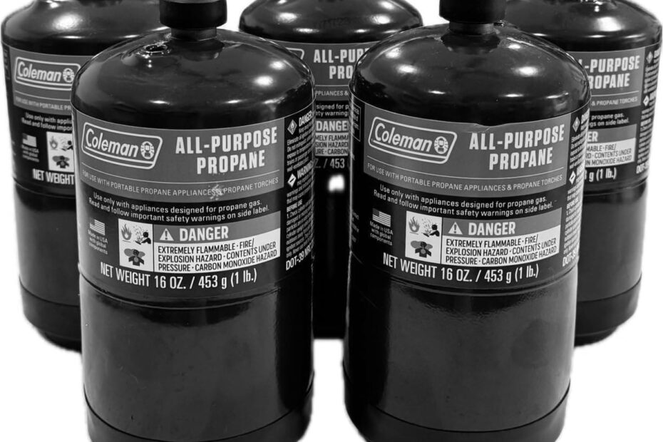 Best Camping Replacement Fuel