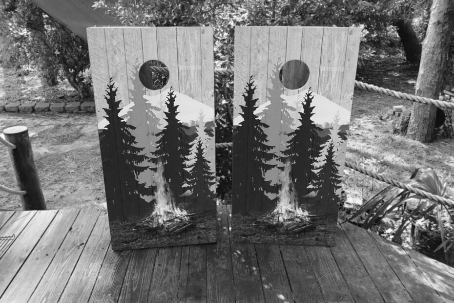 Best Cornhole Boards