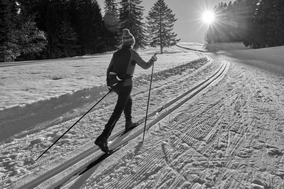 Best Cross Country Skis