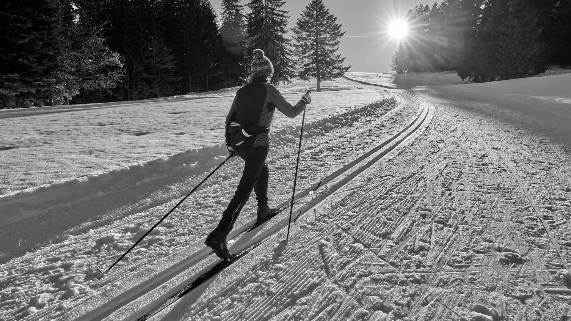 Best Cross Country Skis