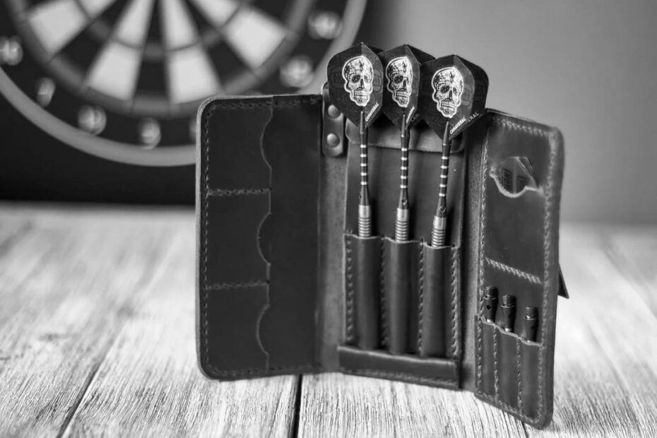 Best Dart Carrying Cases & Wallets