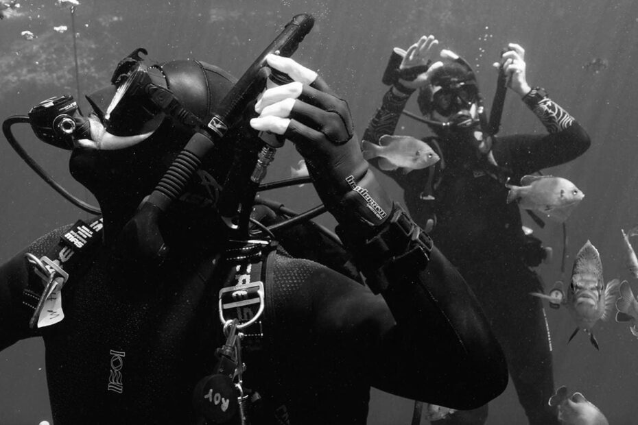 Best Diving Buoyancy Compensators