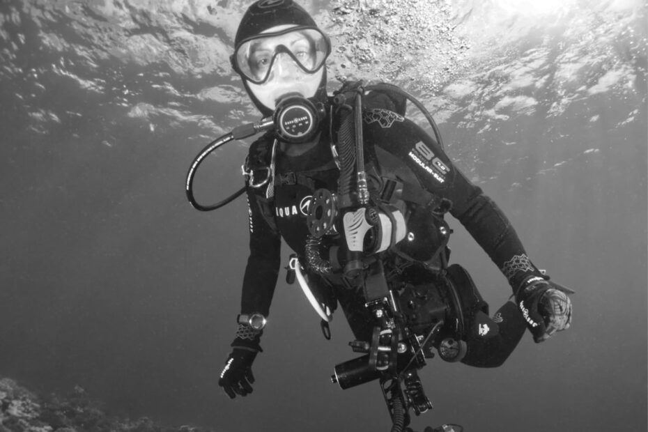 Best Diving Clips