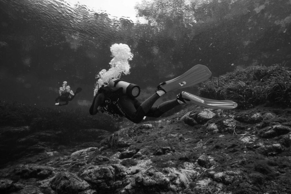 Best Diving Fins