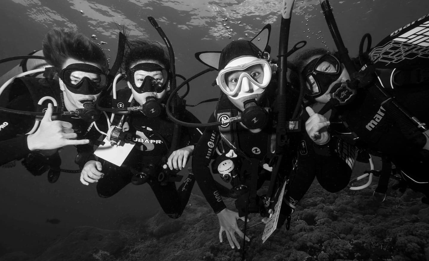 Best Diving Packages