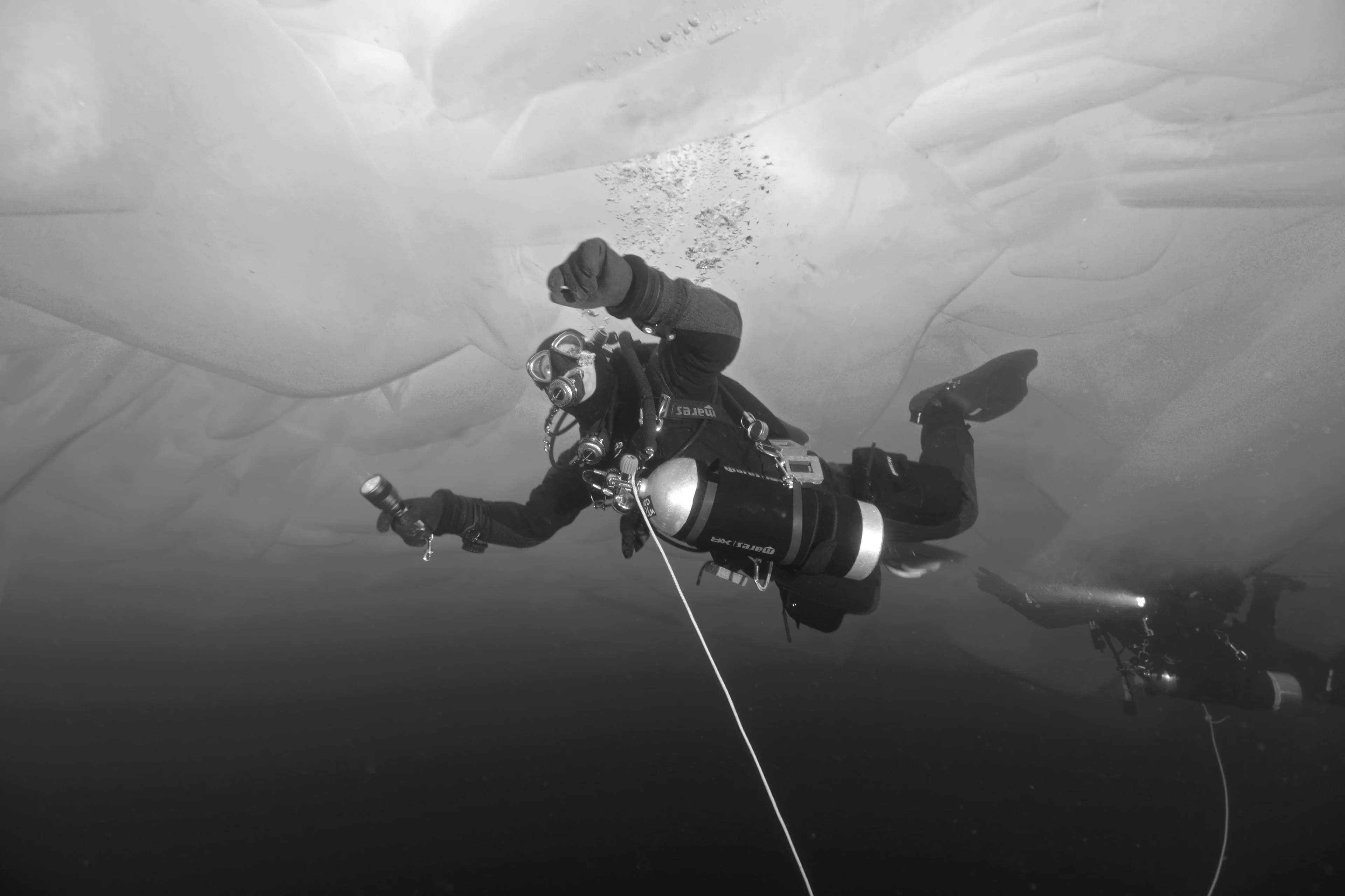 Best Diving Reels