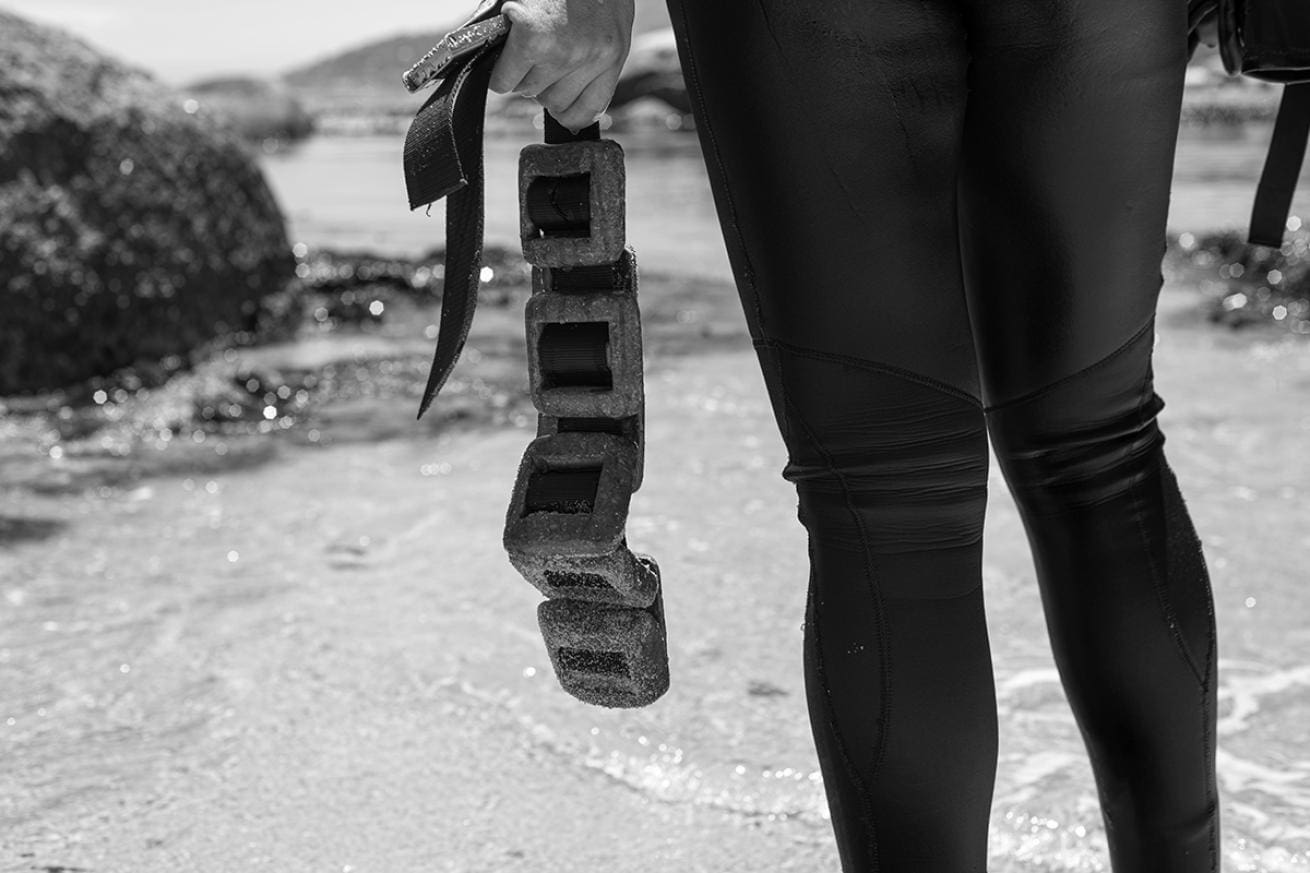 Best Diving Weights & Belts
