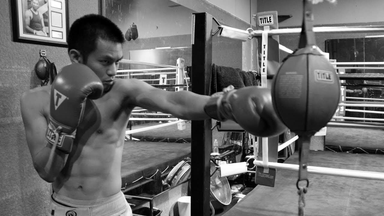 Best Double End Punching Bags