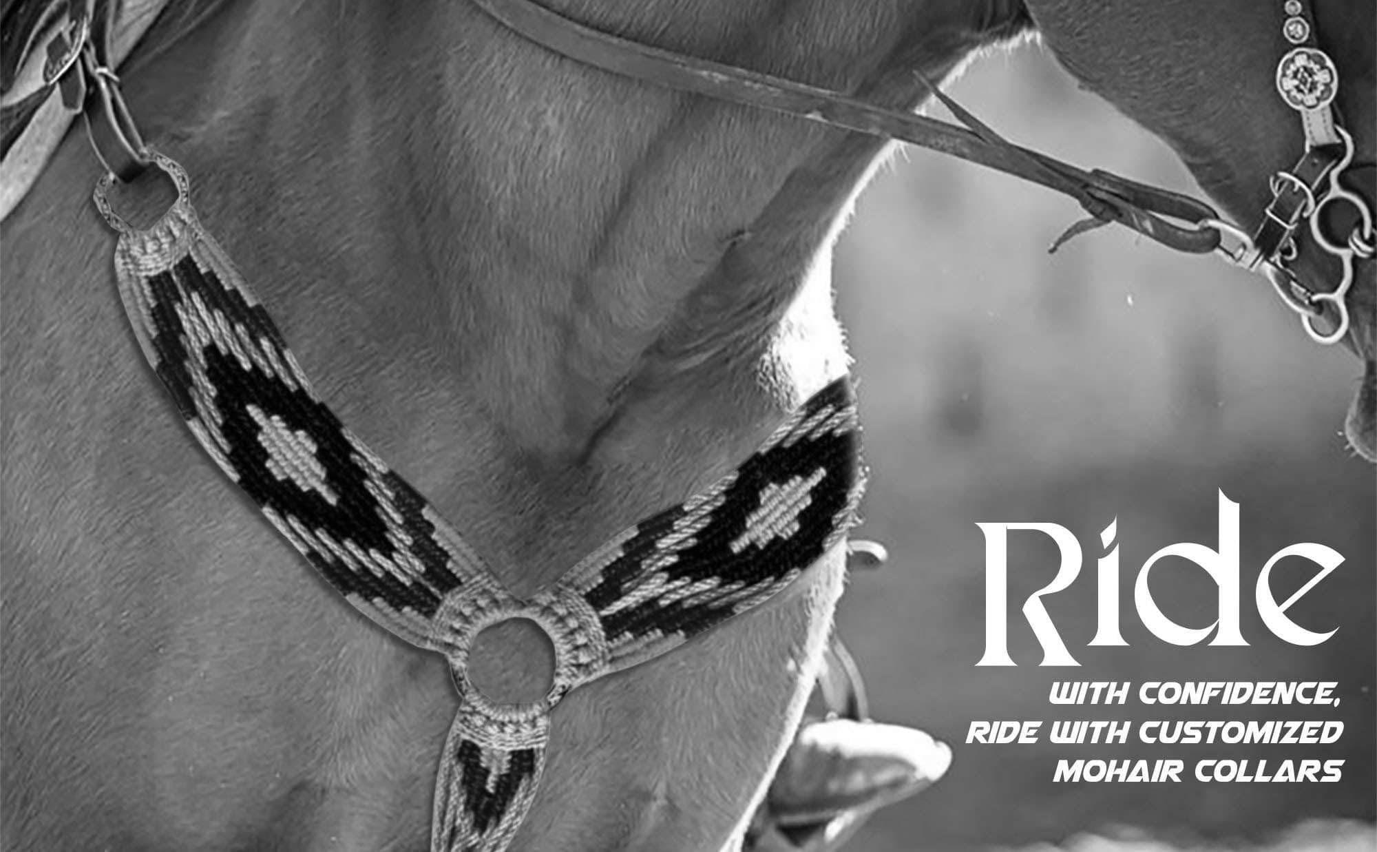 Best Equestrian Breast Collars