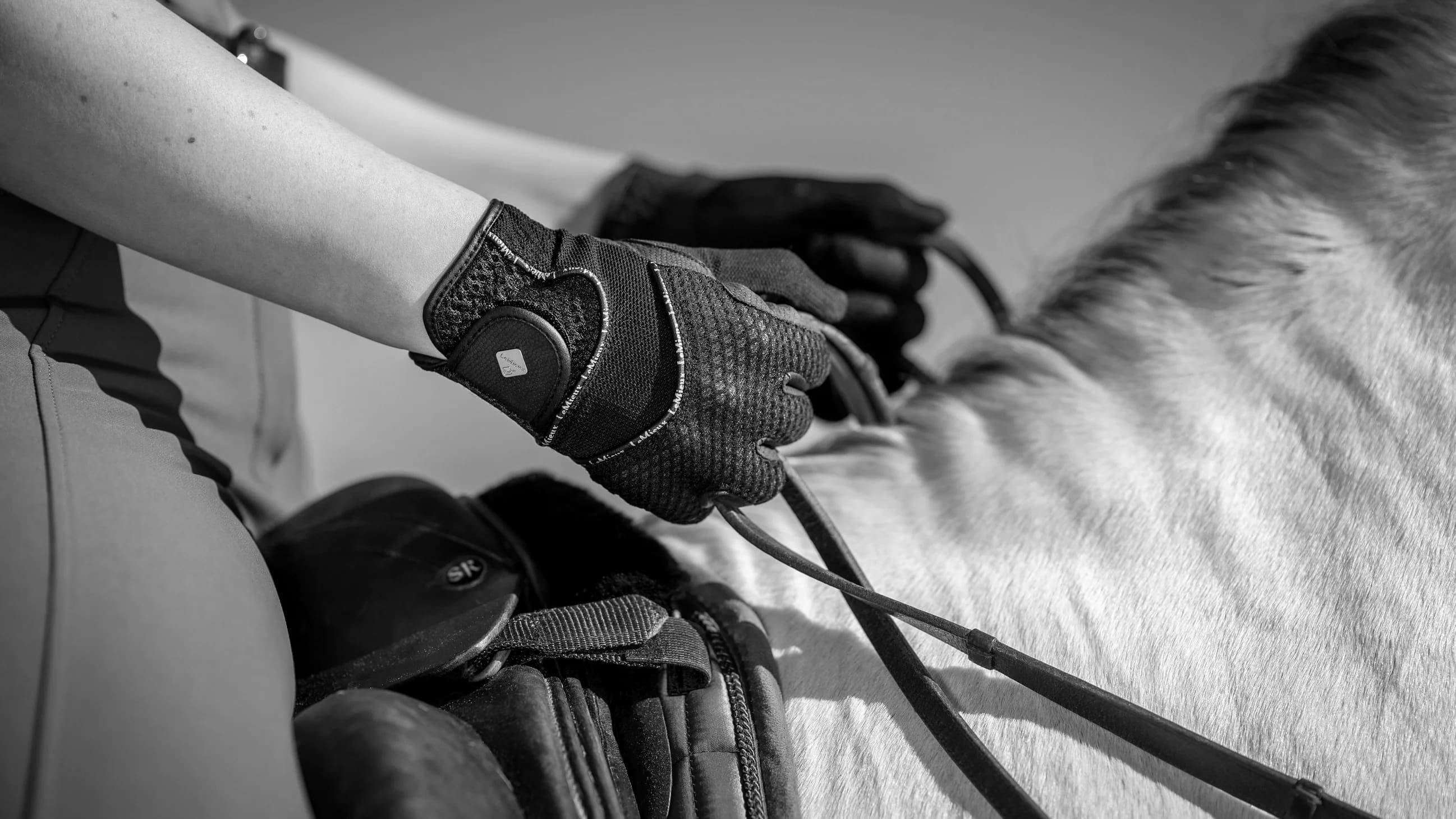 Best Equestrian Riding Gloves