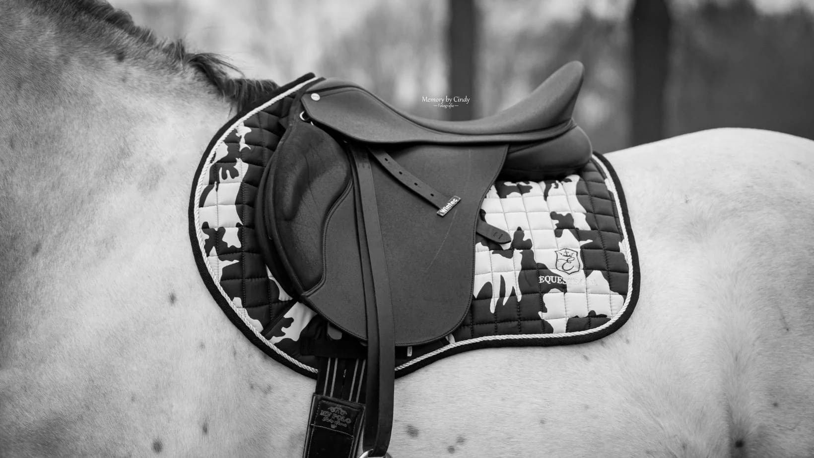 Best Equestrian Saddle Pads