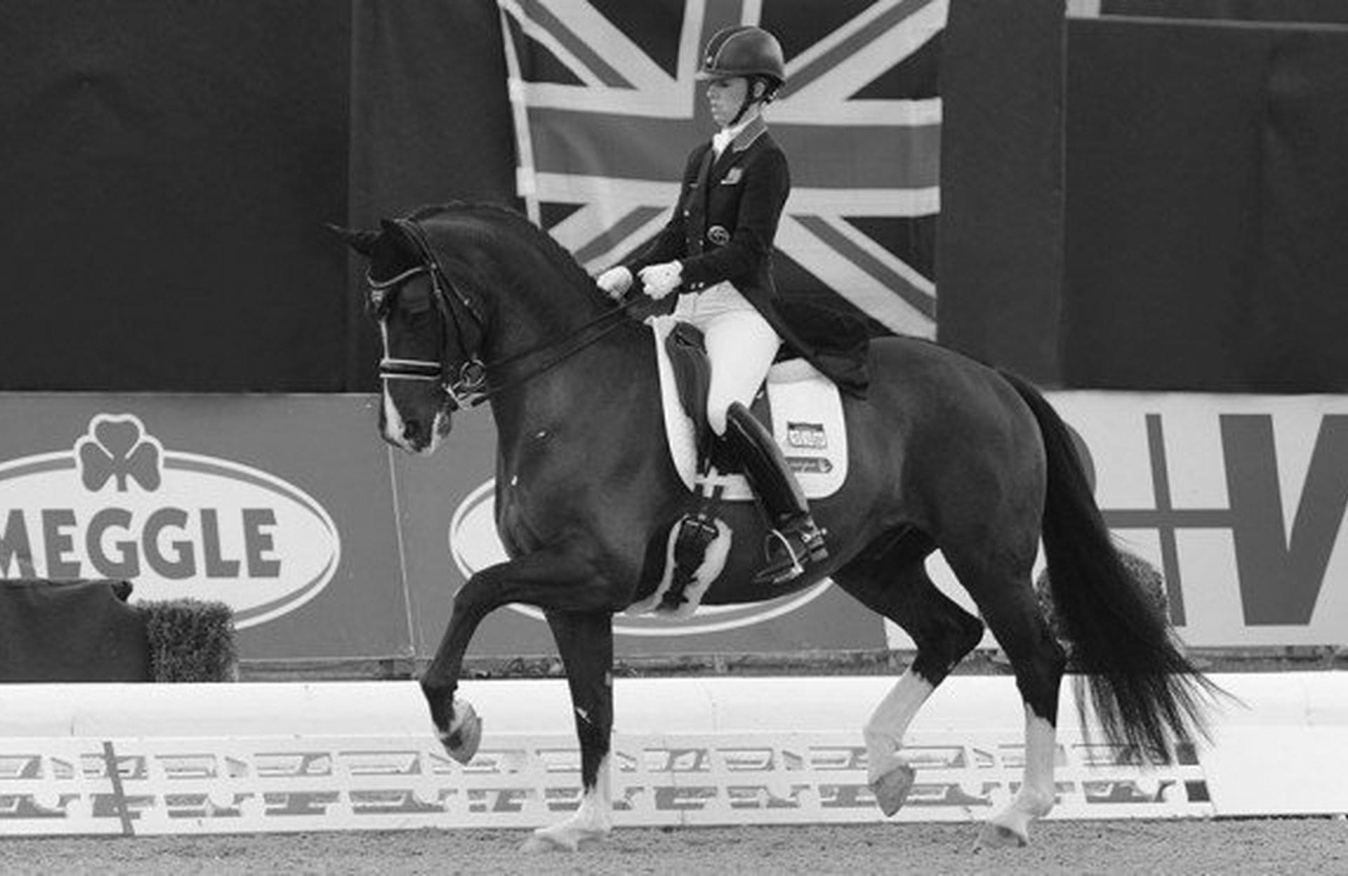 Best Equestrian Spurs