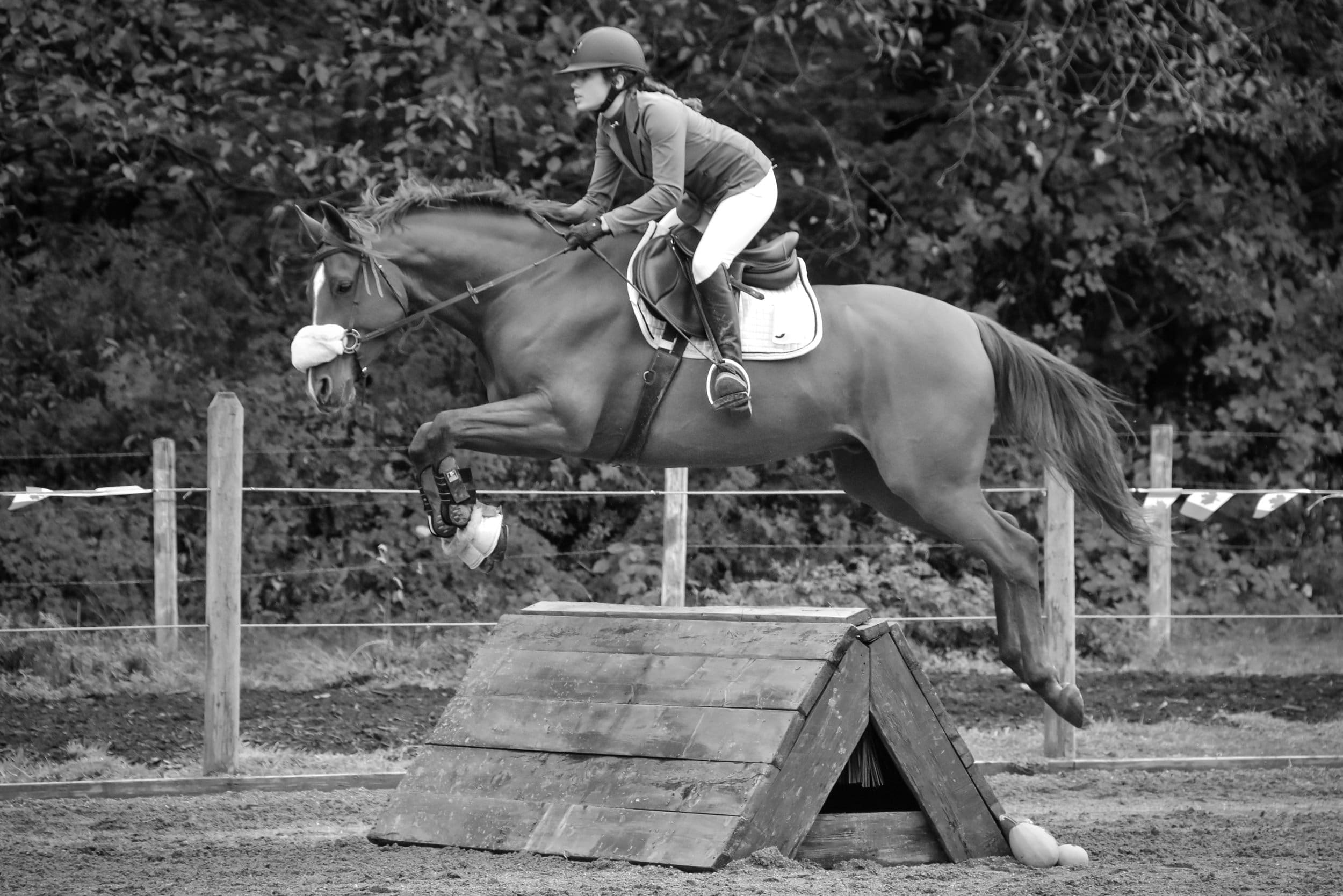Best Equestrian Stirrups