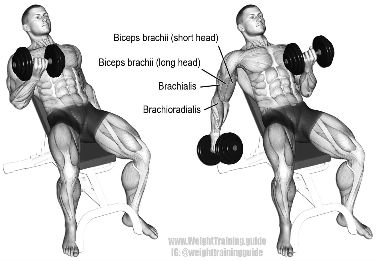 Best Exercise & Fitness Dumbbells