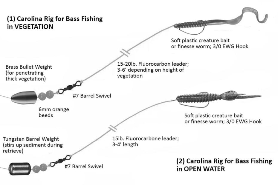 Best Fishing Bait Rigs