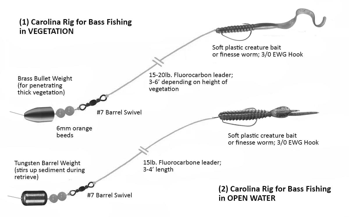 bass lure rigs Different Rigs For Bass Fishing 15 Bait Rigs That Will Catch Any Fish  Anywhere
