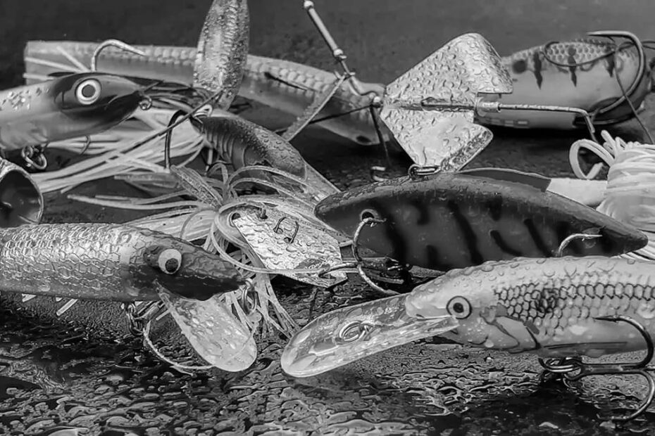 Best Fishing Bait Traps