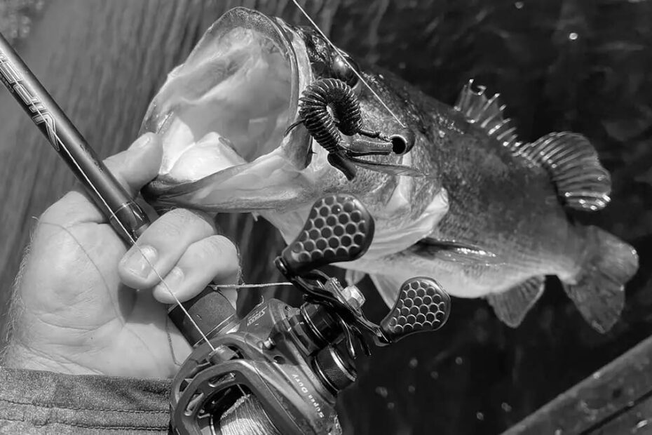 Best Fishing Baits & Accessories