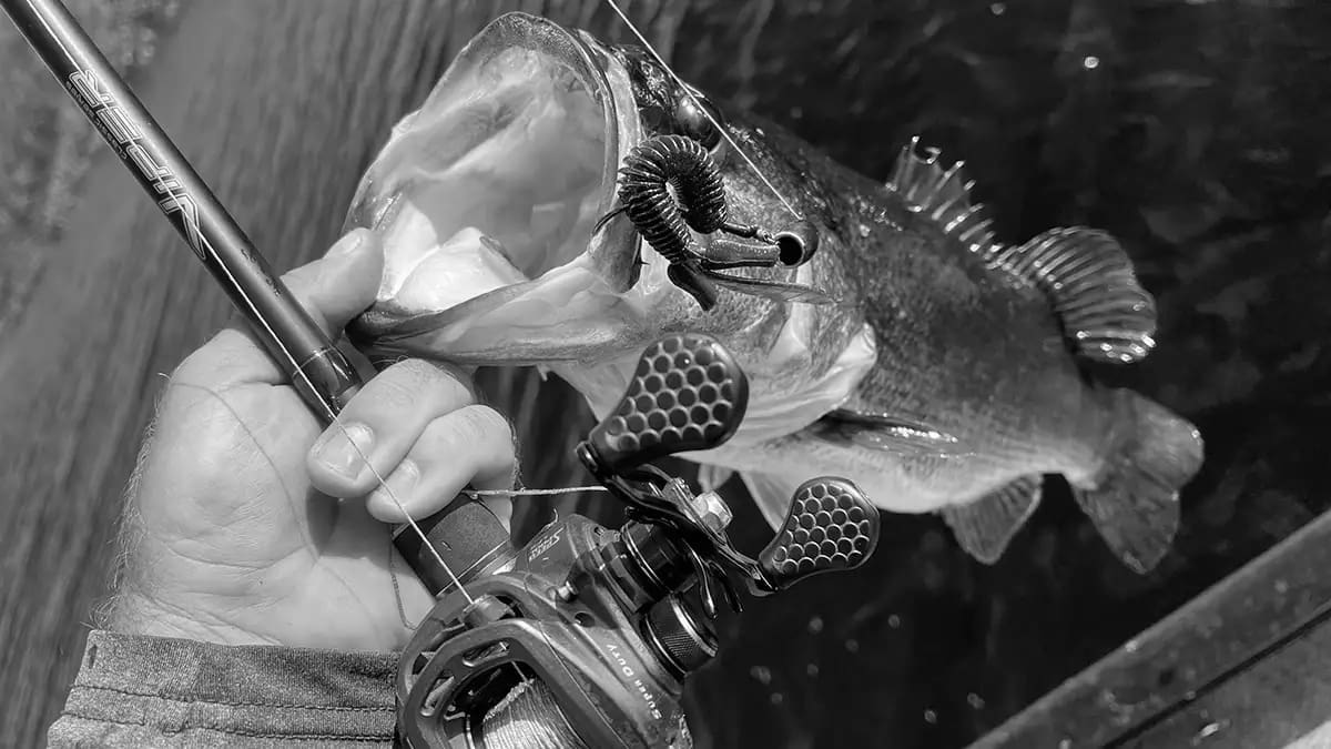 Best Fishing Baits & Accessories
