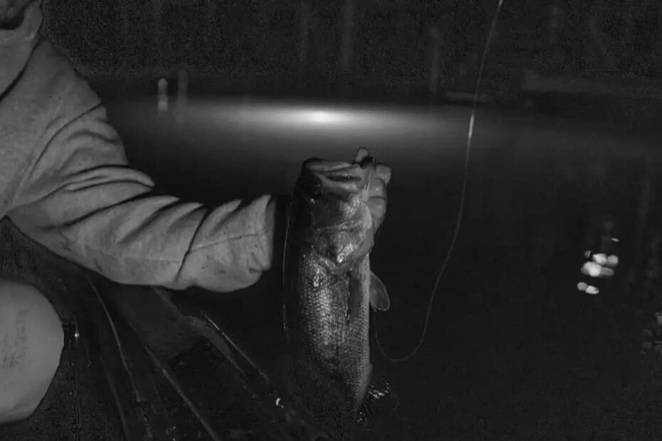 Best Fishing Light Attractants