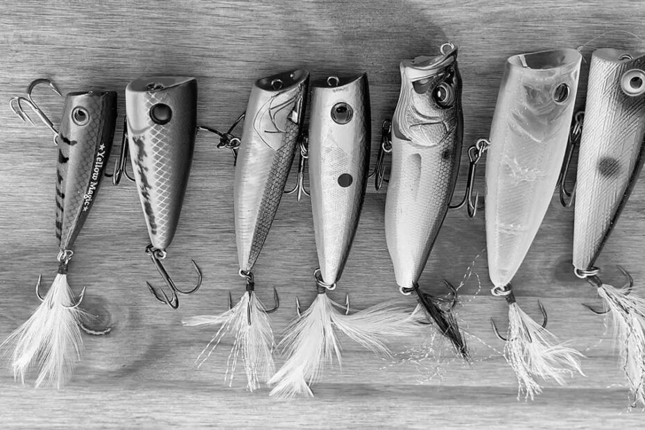 Best Fishing Plugs