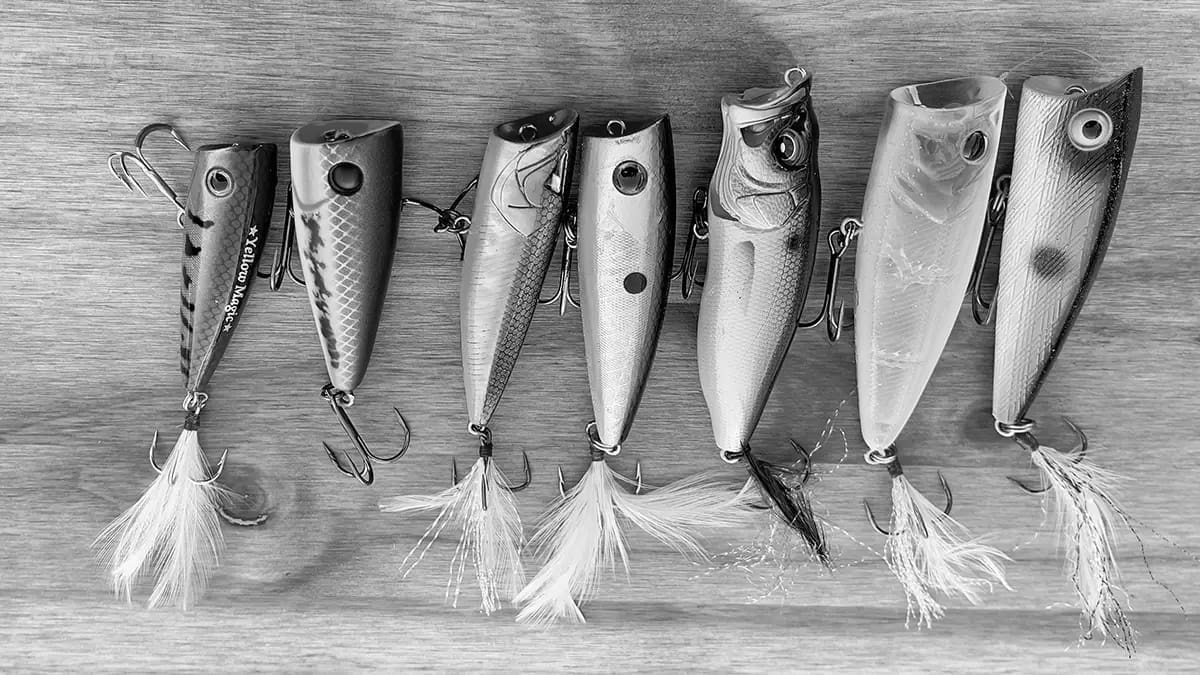 Best Fishing Plugs