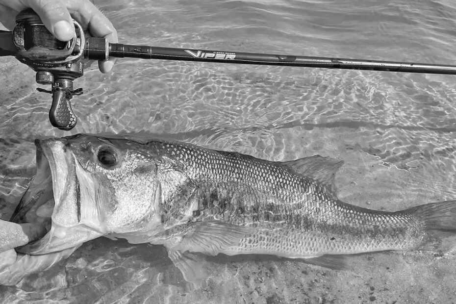 Best Fishing Rods & Accessories