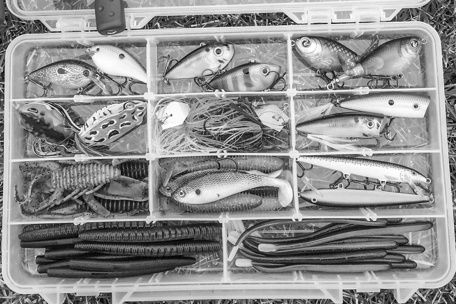Best Fishing Soft Plastic Lures