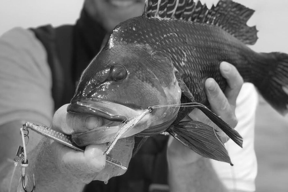 Best Fishing Teasers