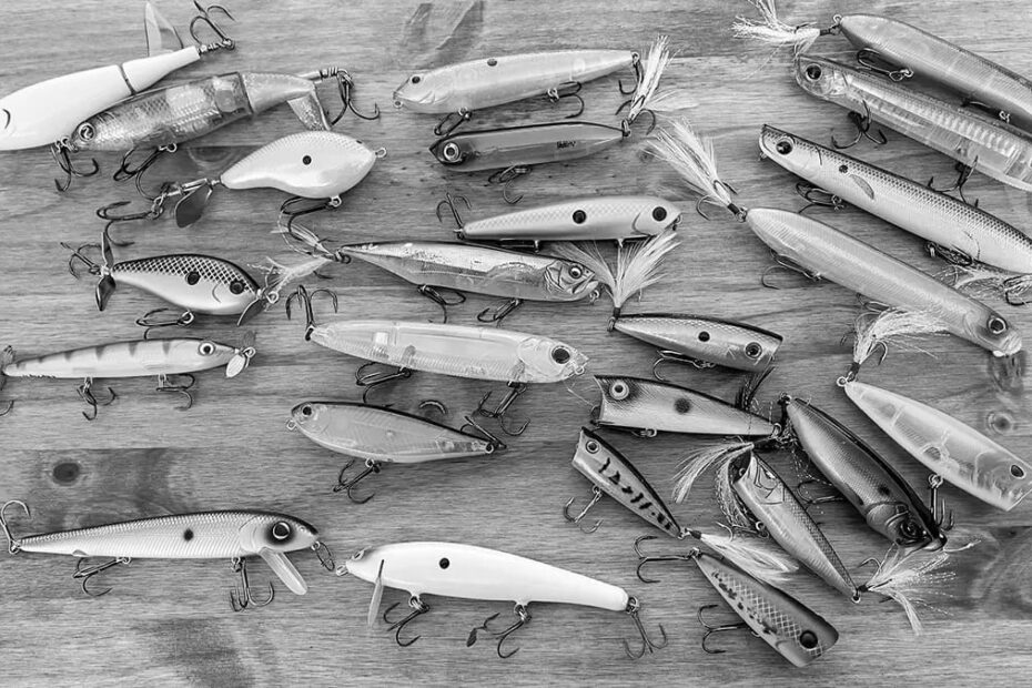 Best Fishing Topwater Lures