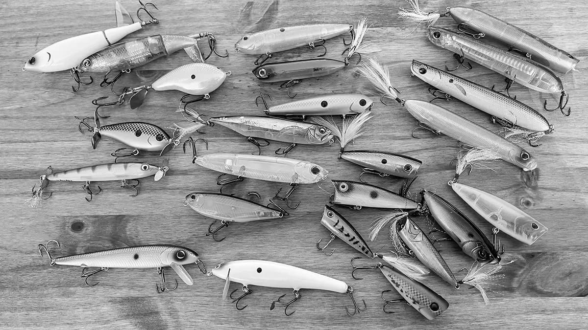 Best Fishing Topwater Lures