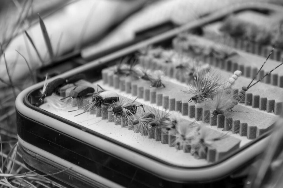 Best Fly Boxes