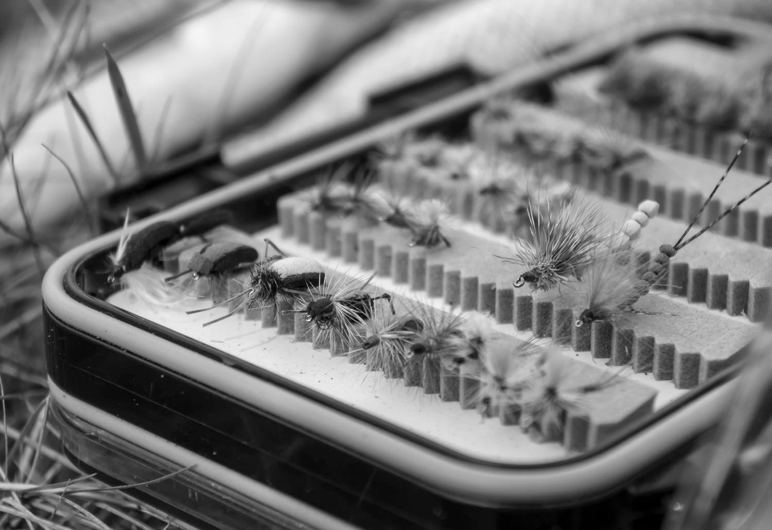 Best Fly Boxes